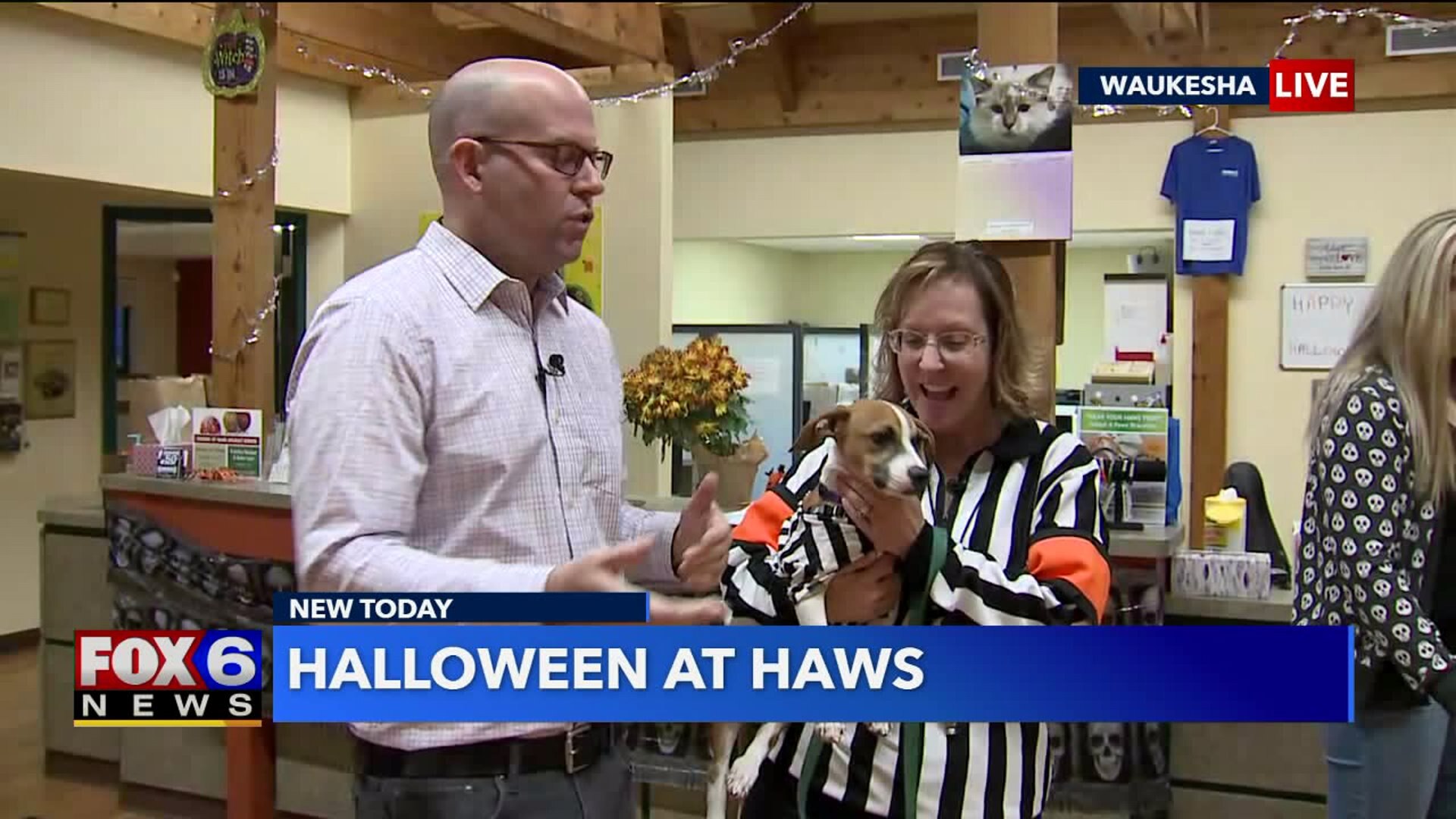 Halloween at HAWS