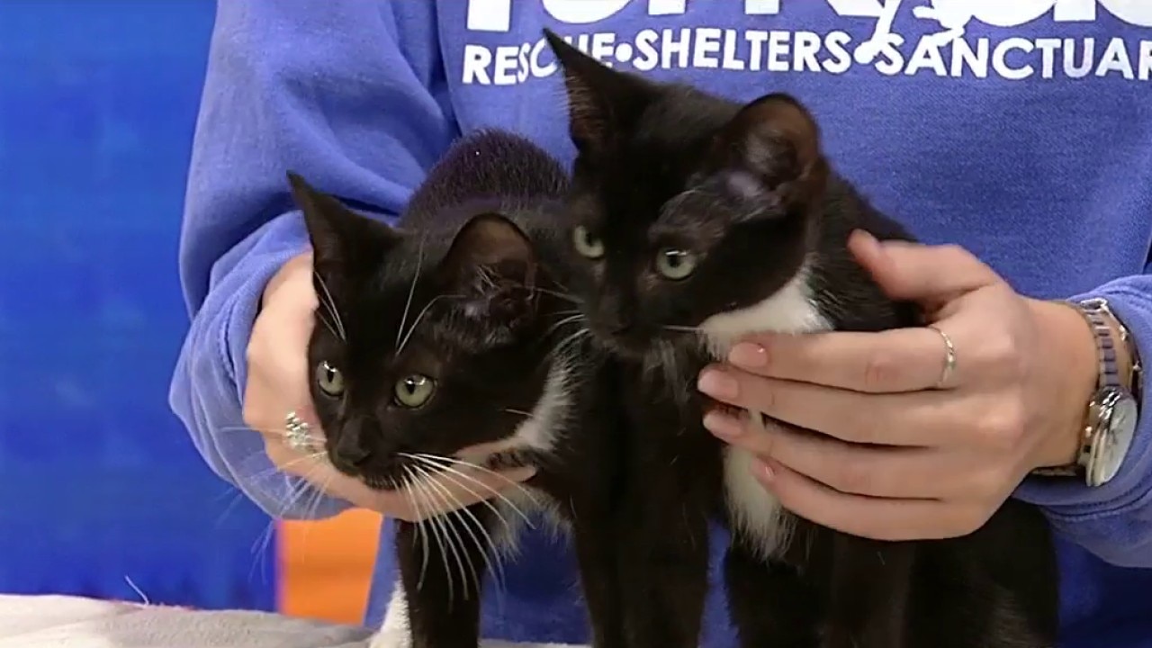 Pet of the day: Evelyn & Frannie