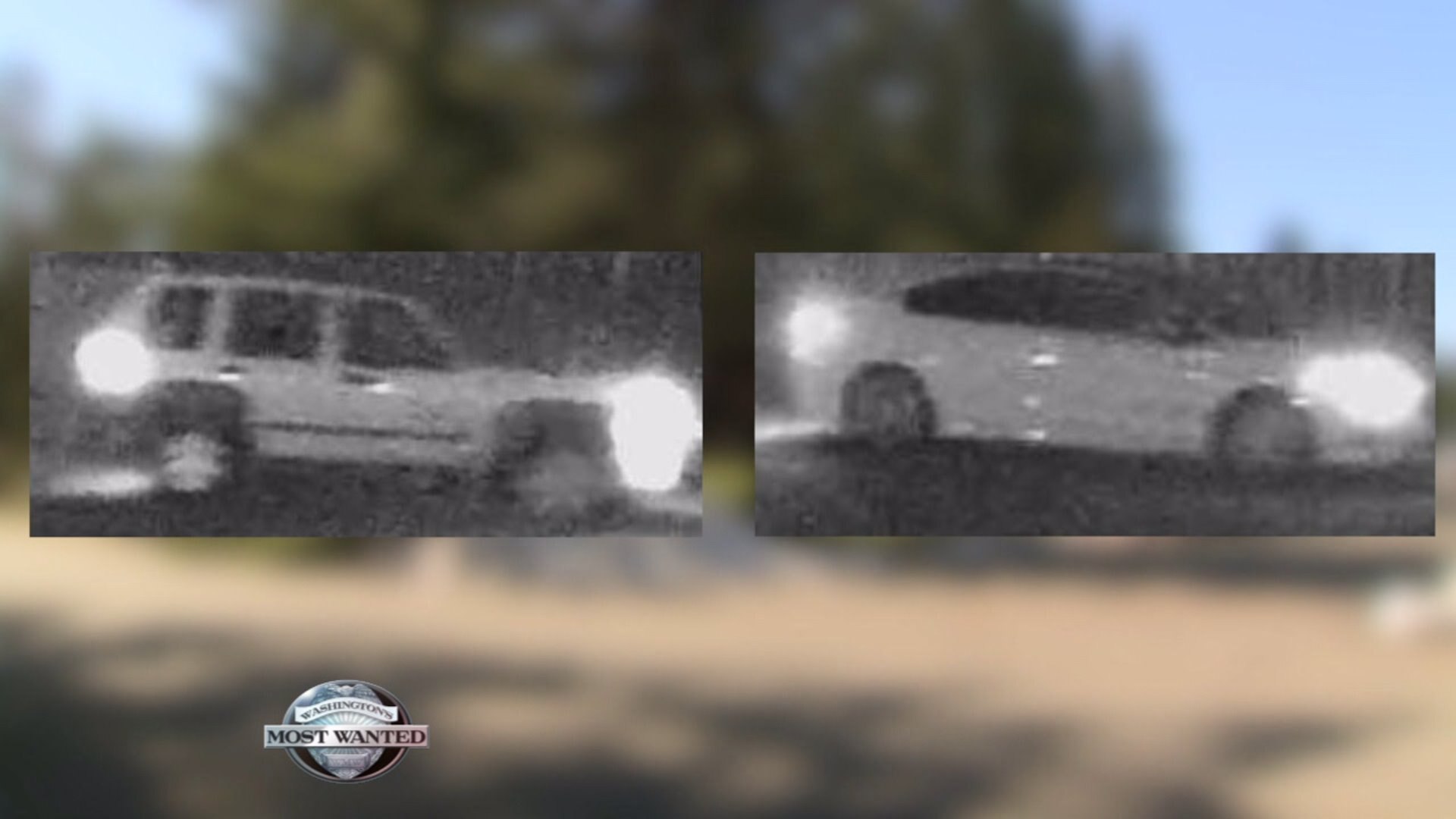 WANTED: Horrifying home invaders