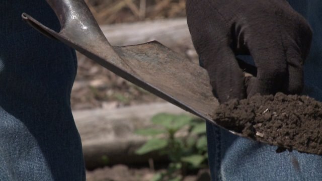 Studies show childhood lead exposure may be linked to crime