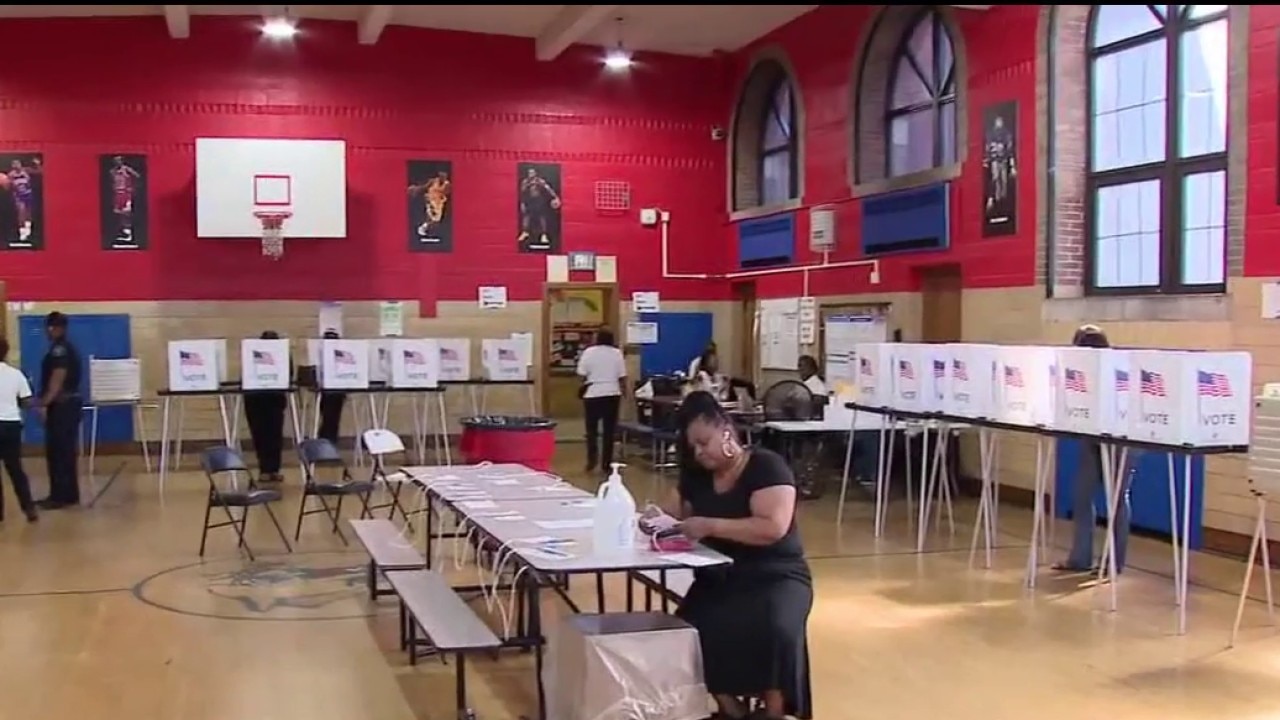 Federal election monitors in Metro Detroit for Primary