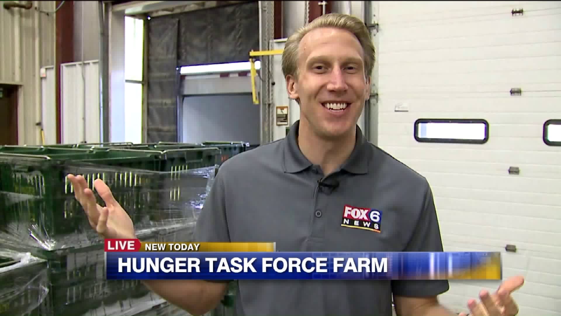 Hunger Task Force Farm