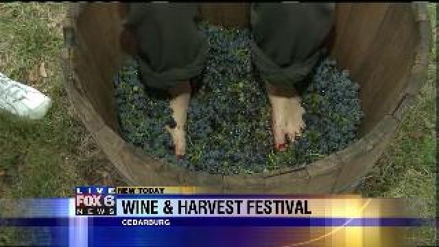 Laura stomps grapes at Cedarburg Wine & Harvest Festival