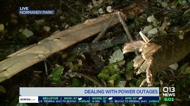 Cleaning up downed trees, repairing homes after windstorm