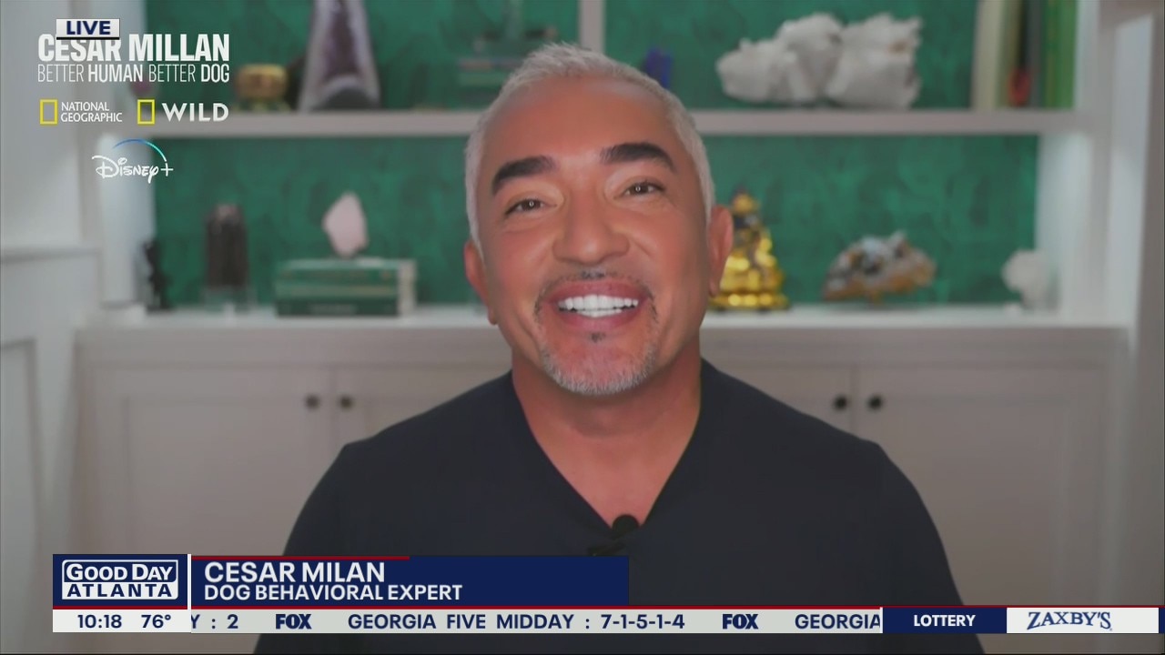 Pet behavior expert Cesar Millan shares advice for new dog owners