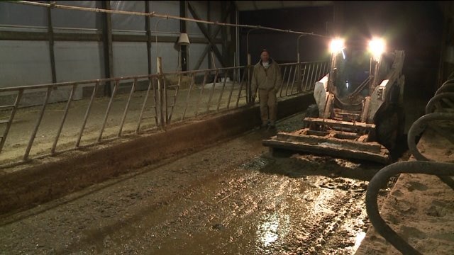 Chip learns the steps to keeping cows happy