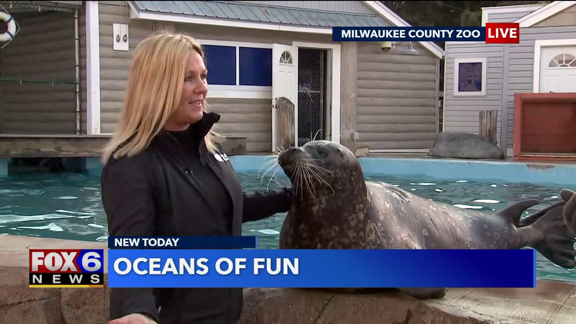 Oceans of Fun