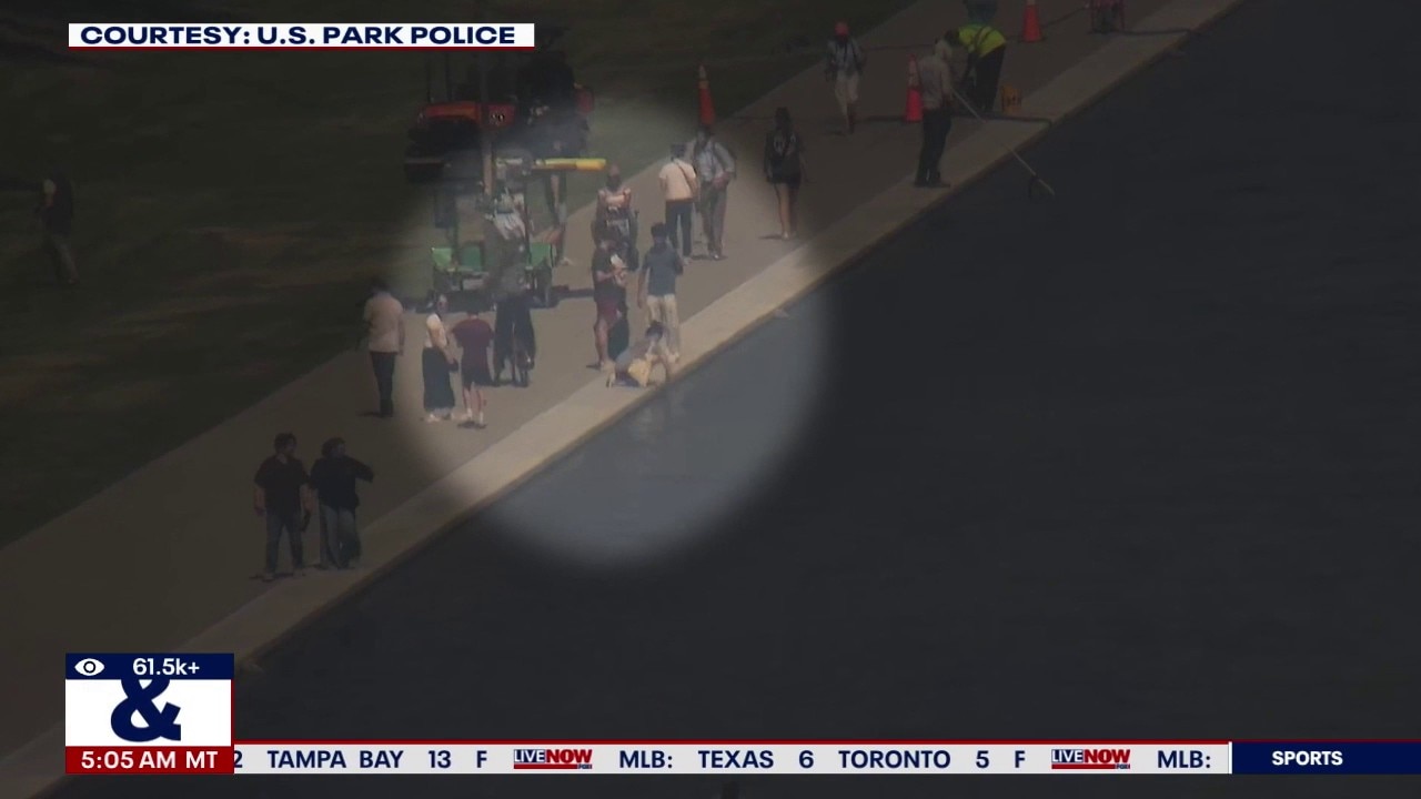 Reflecting pool vandal used box cutter to slash pool