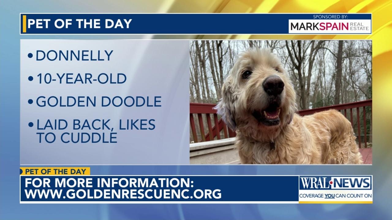 Pet of the Day: March 8, 2026