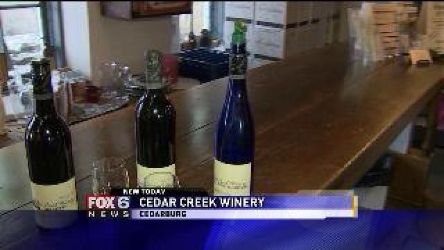 Taste Testing at Cedar Creek Winery