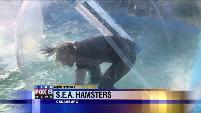 Laura hangs in a hamster ball, on water