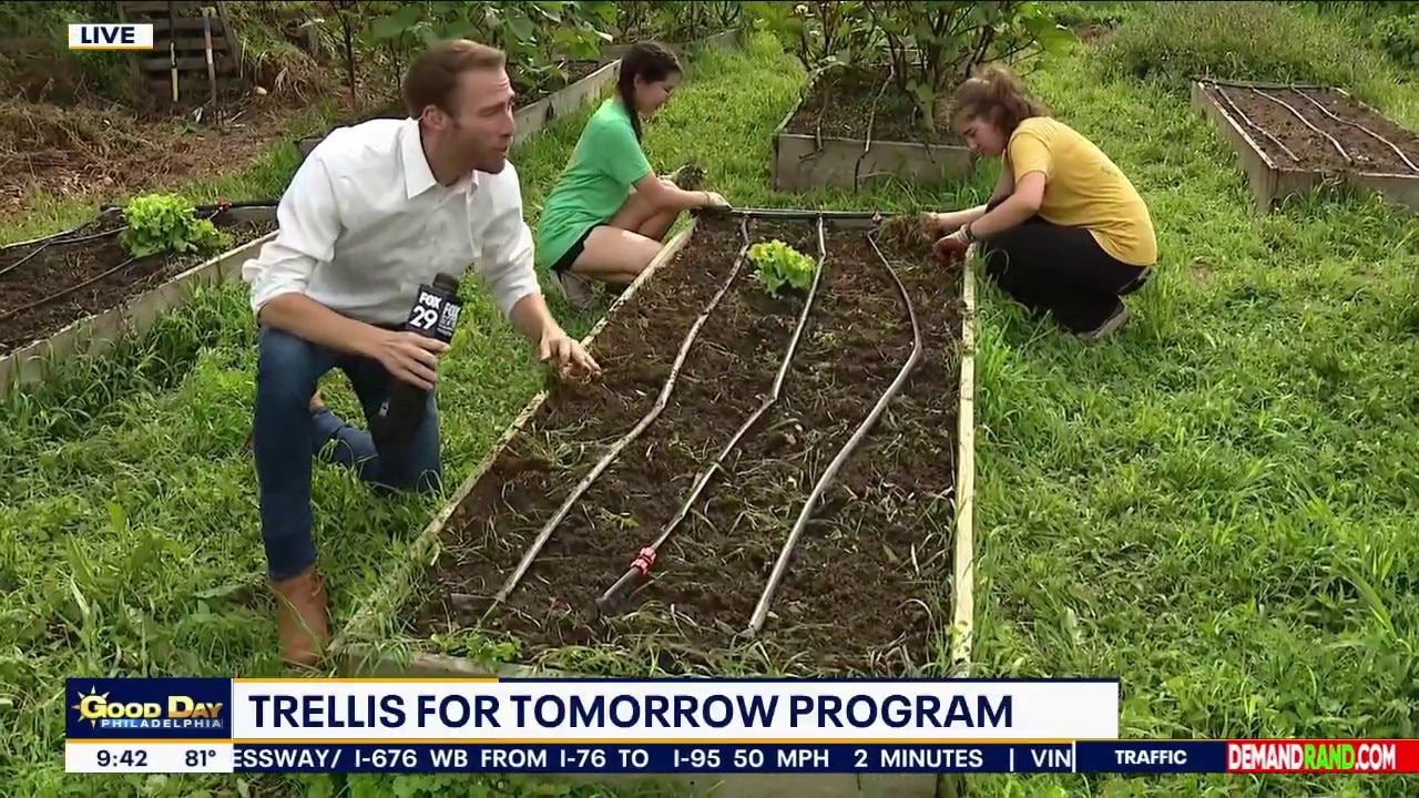 SEED Skills Crew Summer Program