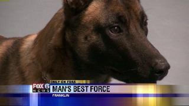 Sheriff's officials conduct K-9 training