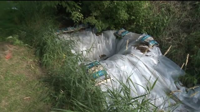 Cleaning up 5,000 gallons of diesel fuel: Crews working to limit impact to environment, wildlife