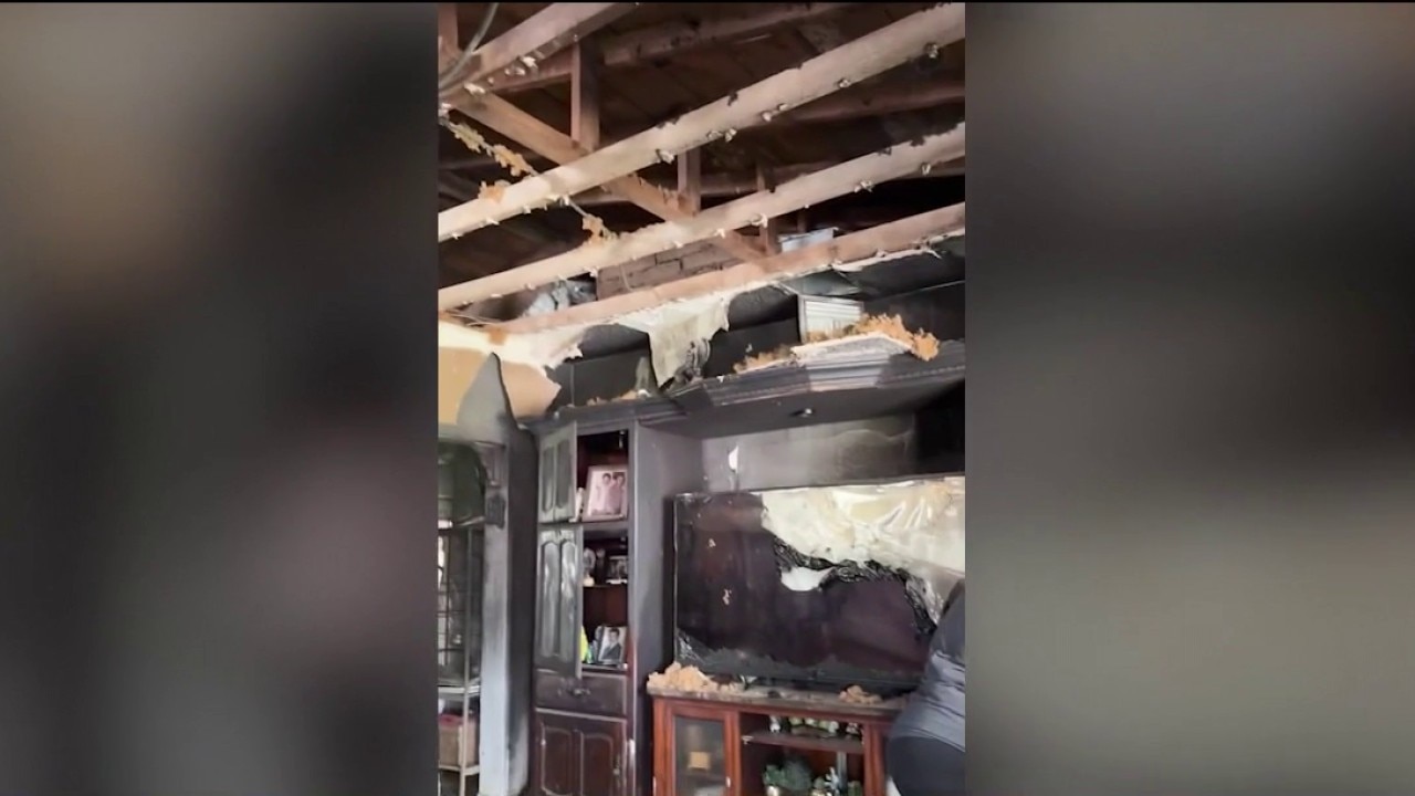 Six pets rescued after house fire breaks out in Phoenix