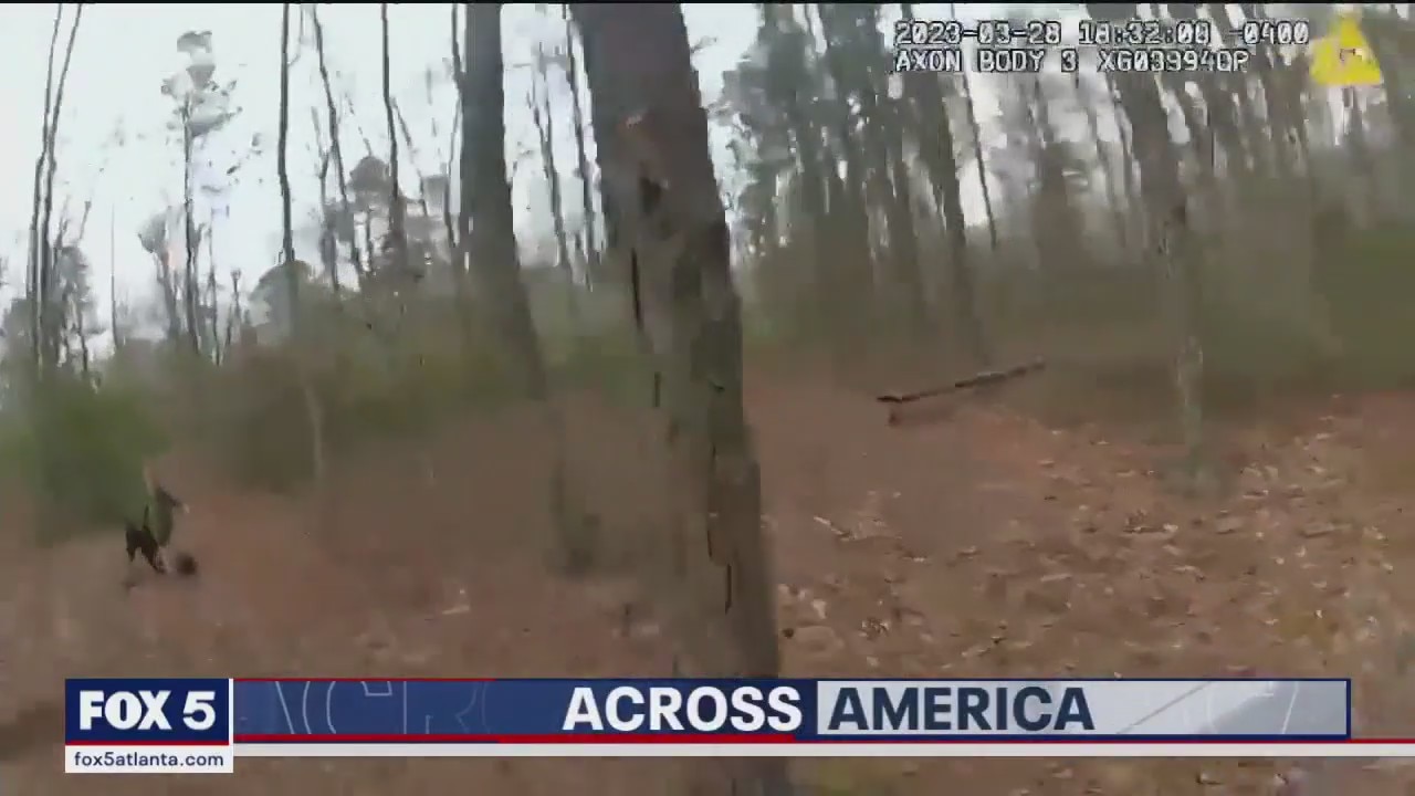 Police find lost little boy in woods