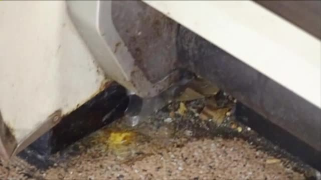 "Beyond unsanitary:" Photos of 'filthy' Los Angeles grocery store posted to Facebook spark outrage