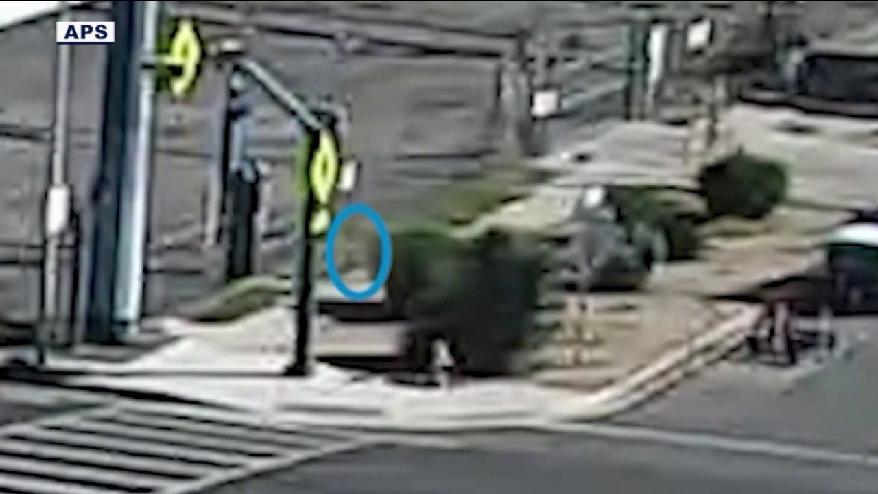 APS employees save toddler running near street in Phoenix