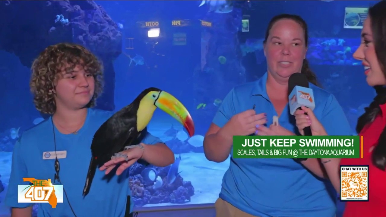 Inside the Daytona Aquarium and Rainforest Adventure