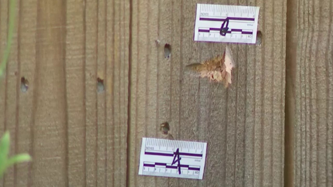 Shooting kills two young brothers; two women injured