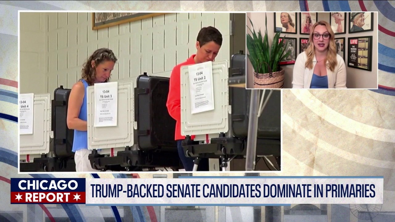 Trump-backed Senate candidates dominate in Indiana primaries | The Chicago Report