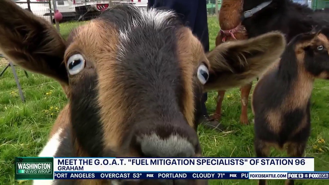 Meet Pierce County's new ‘fuel mitigation specialists’