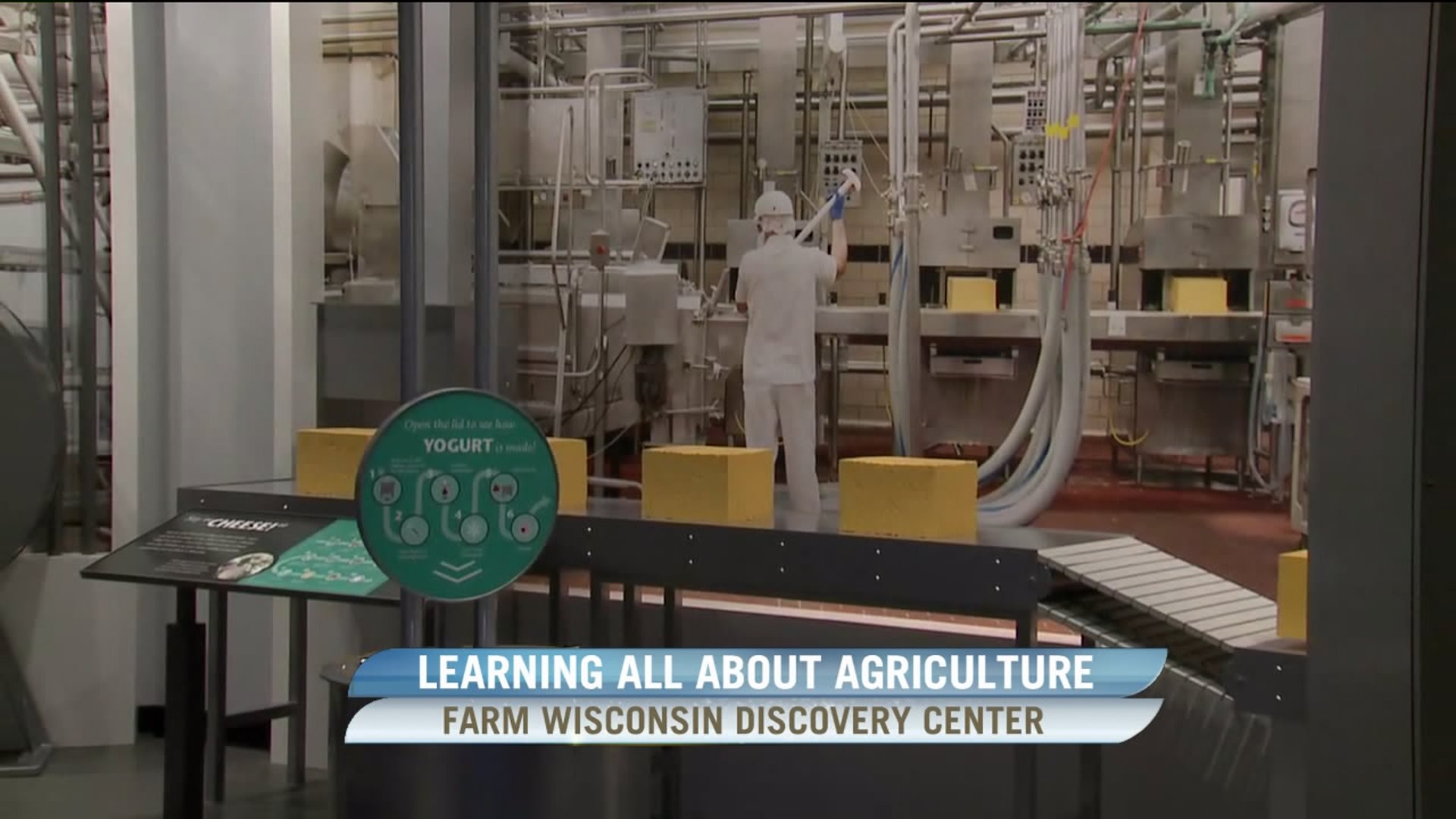 The processing of dairy products