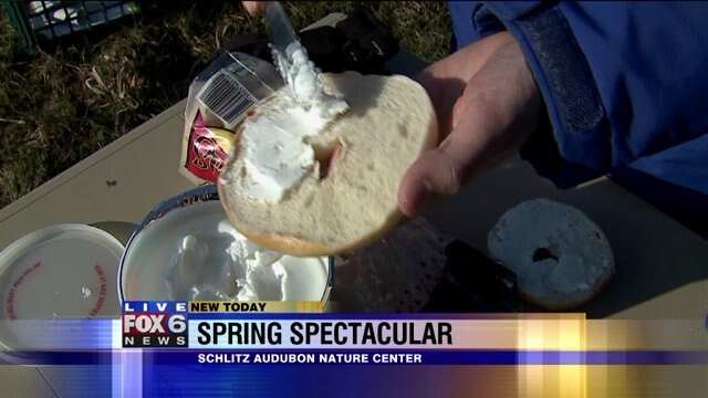 Laura learns how to make a bagel bird feeder