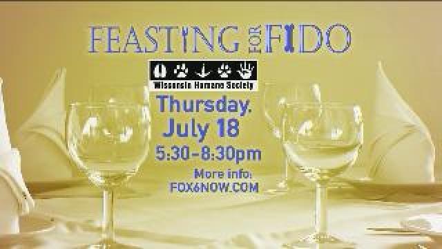 Feasting for Fido