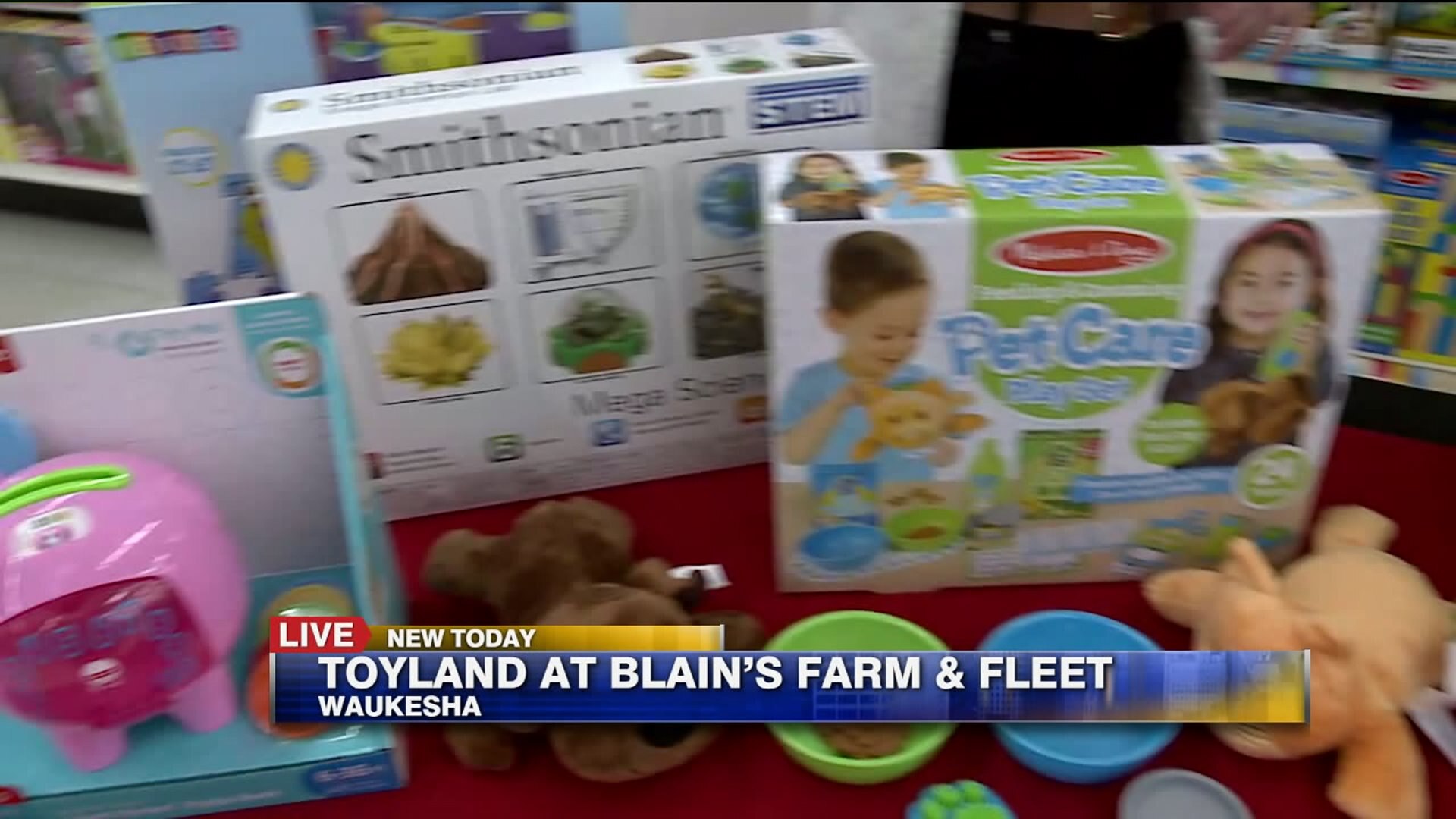 Educational toys