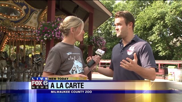 Laura talks bands, hours and food as she previews A La Carte Festival