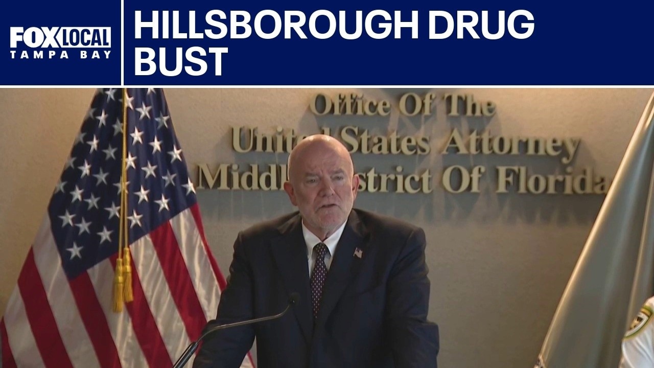 $500K of drugs seized in Hillsborough County 