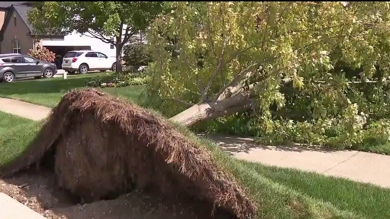 Storm cleanup continues as some still wait for power restoration