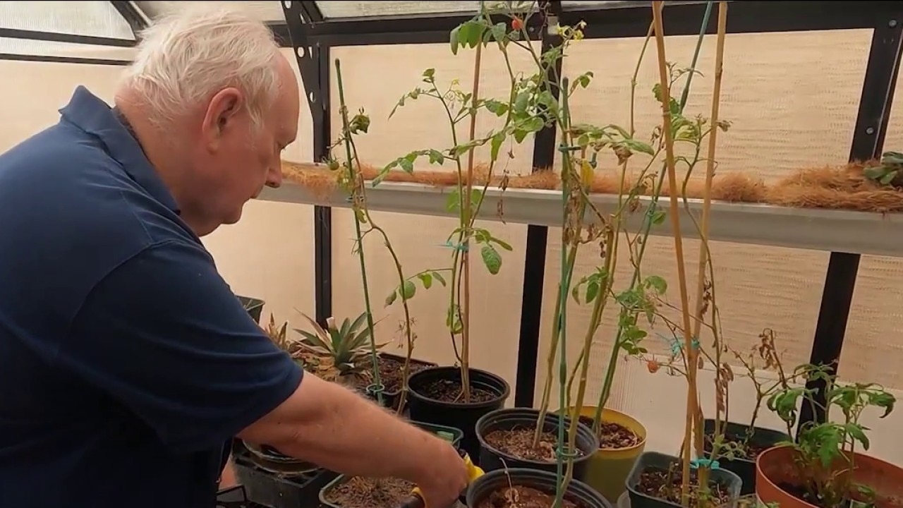 Senior living residents in Mesa create thriving greenhouse