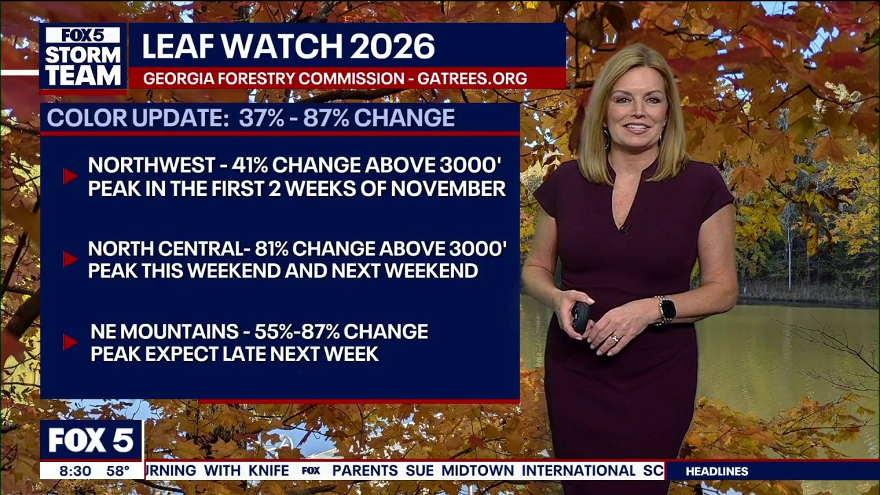 Leaf Watch 2026: Suggested drives Halloween weekend