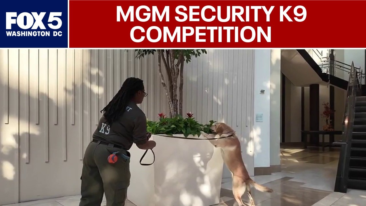 MGM National Harbor hosts security K9 competition