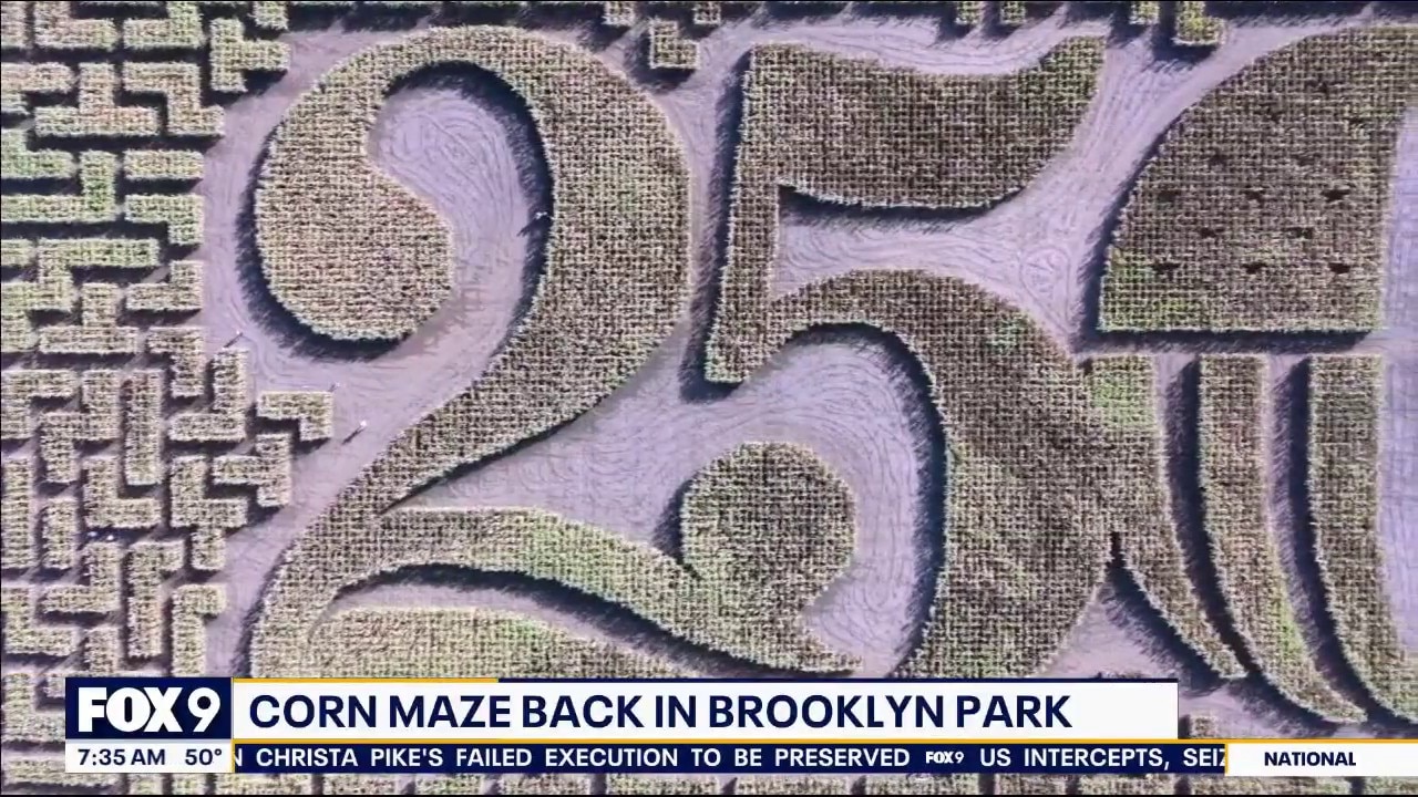 After a forced move, the corn maze is back in Brooklyn Park