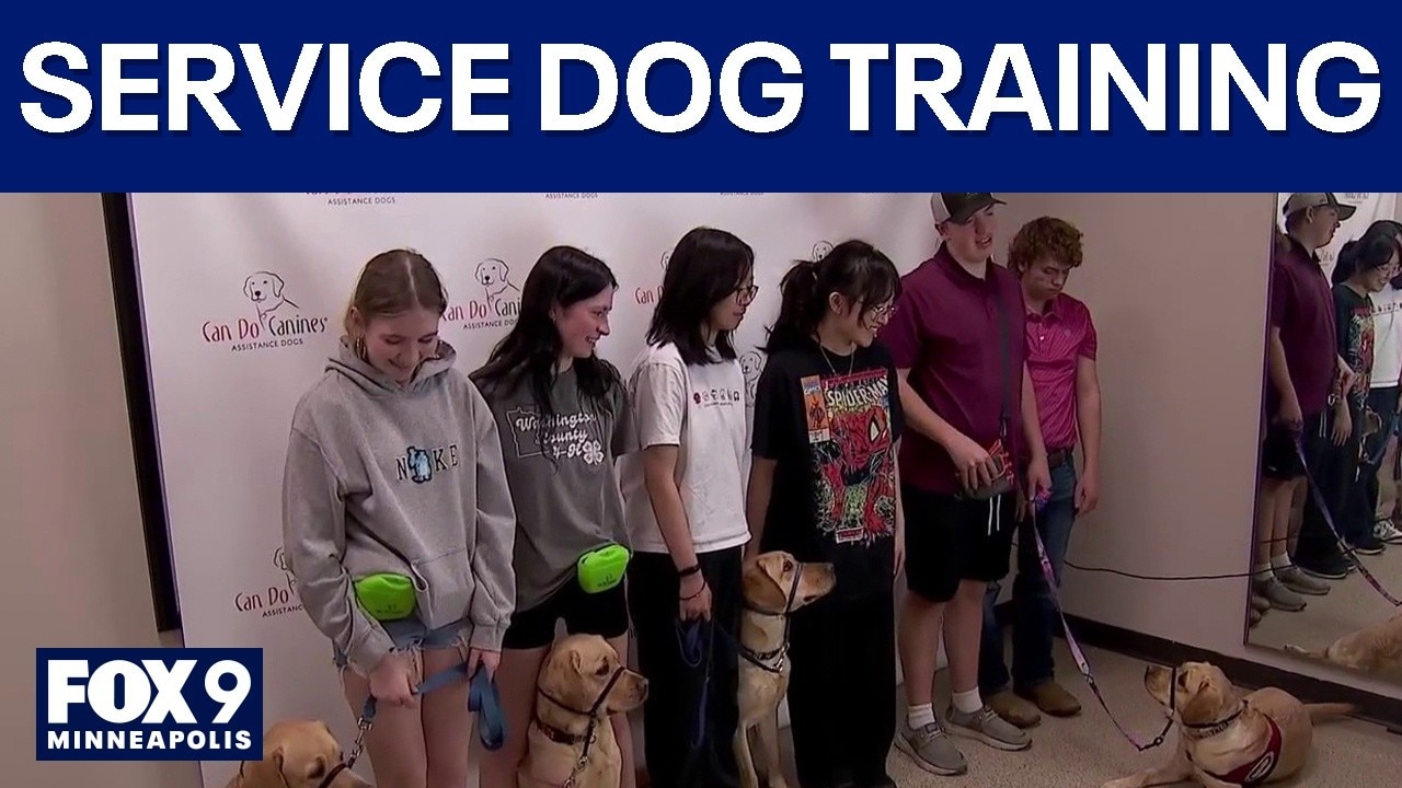 4-H students learn training services dogs