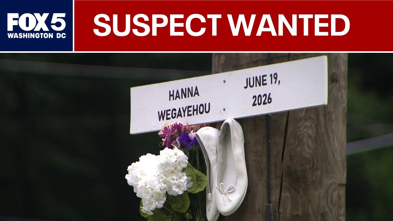 Search continues for driver in deadly Silver Spring hit-and-run