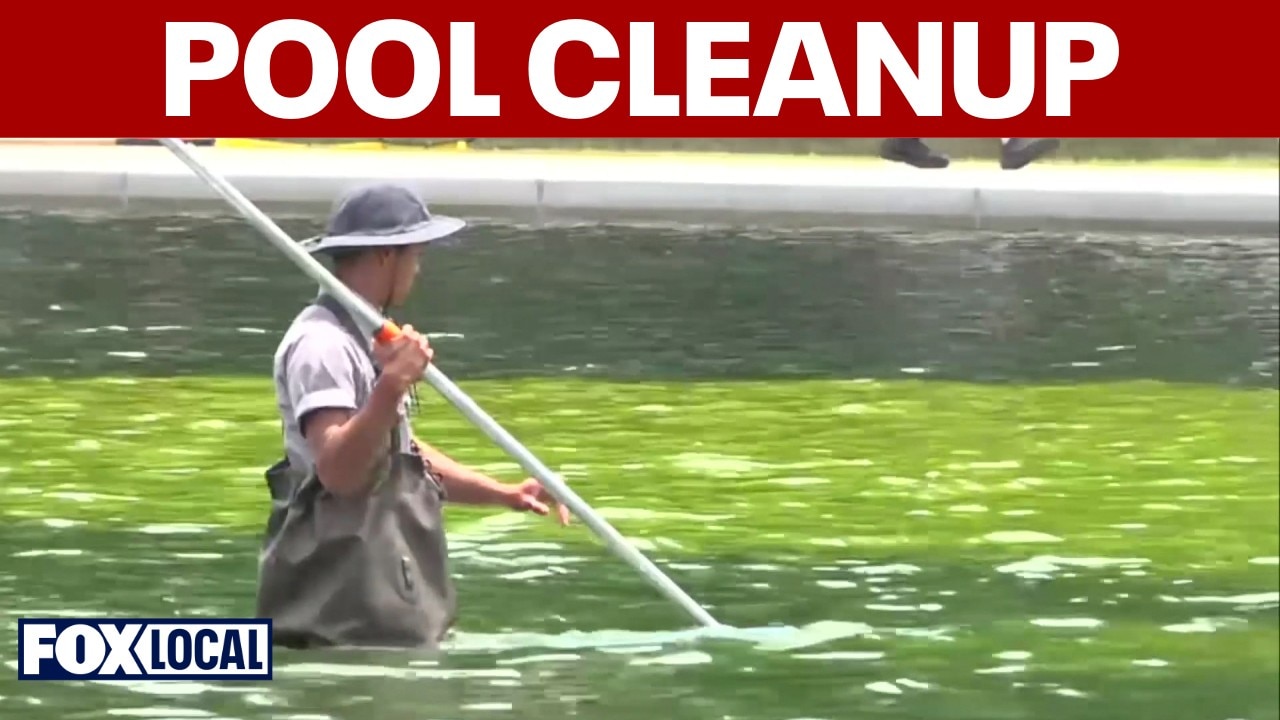 Algae, paint problems plague Reflecting Pool after $14M upgrade