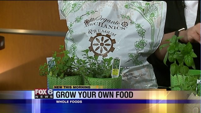 Growing your own food: Why you don`t need a big backyard to have a garden