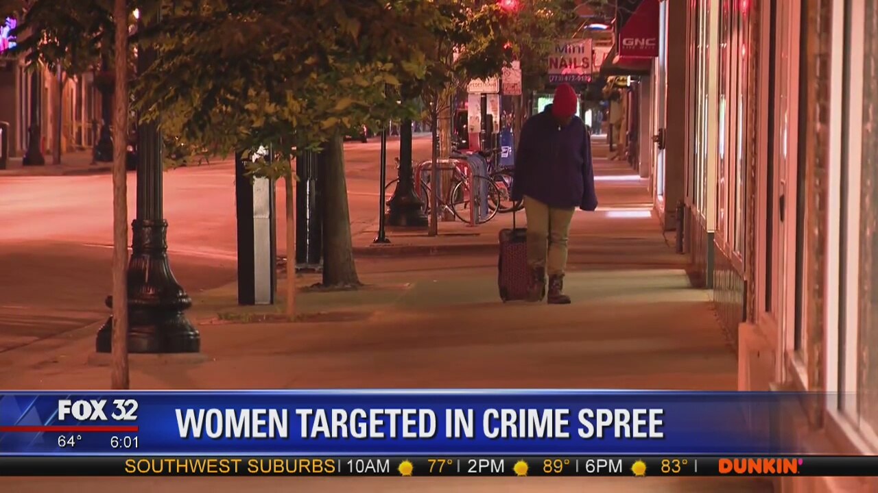 Pickpocket targets women at Lake View bars, clubs: police