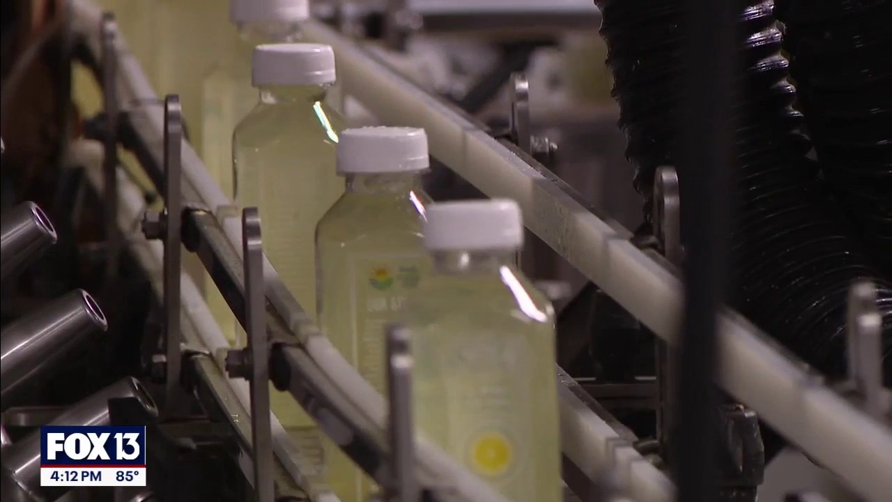 The Lemonicious Drink Company 