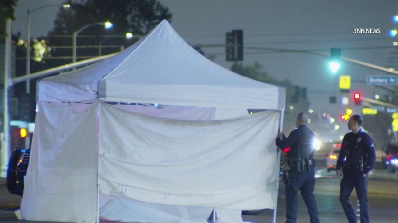 Hit-and-run driver kills woman in South LA