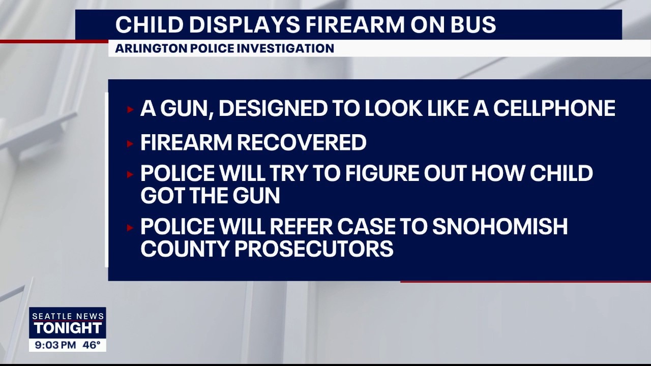 Folding gun that looks like cellphone brought on school bus