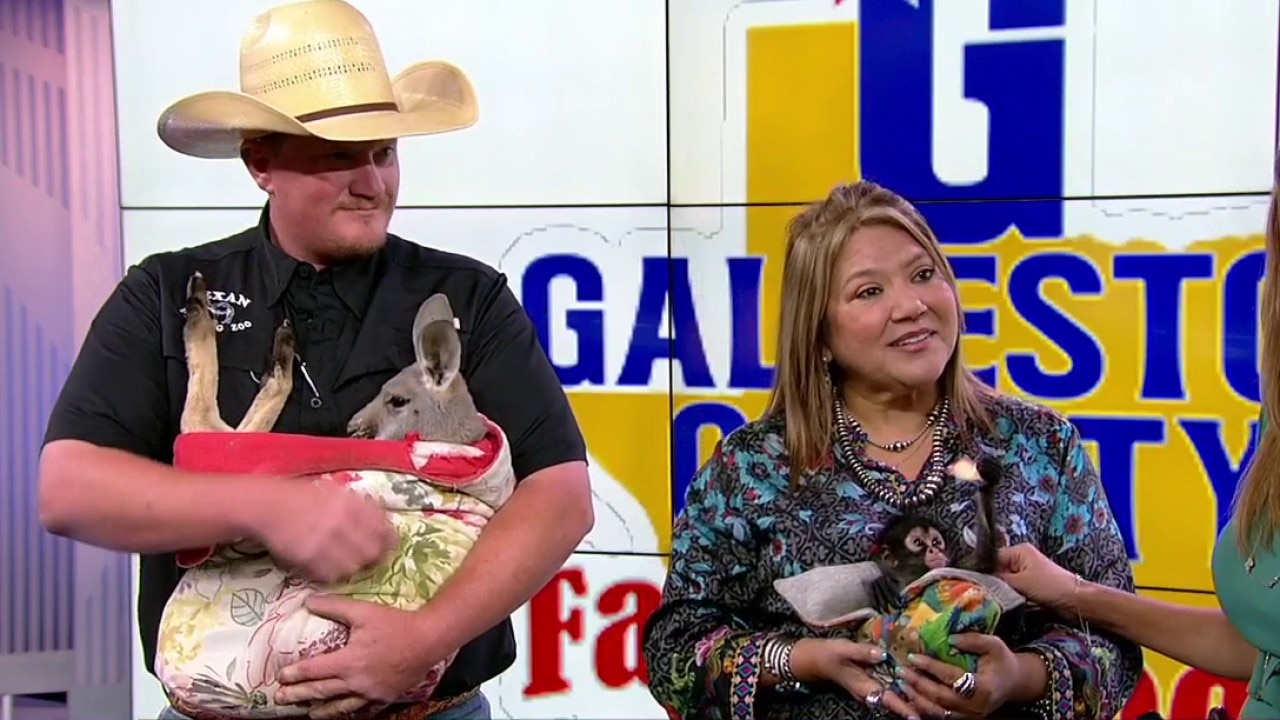 Galveston County Fair kicks off this weekend!