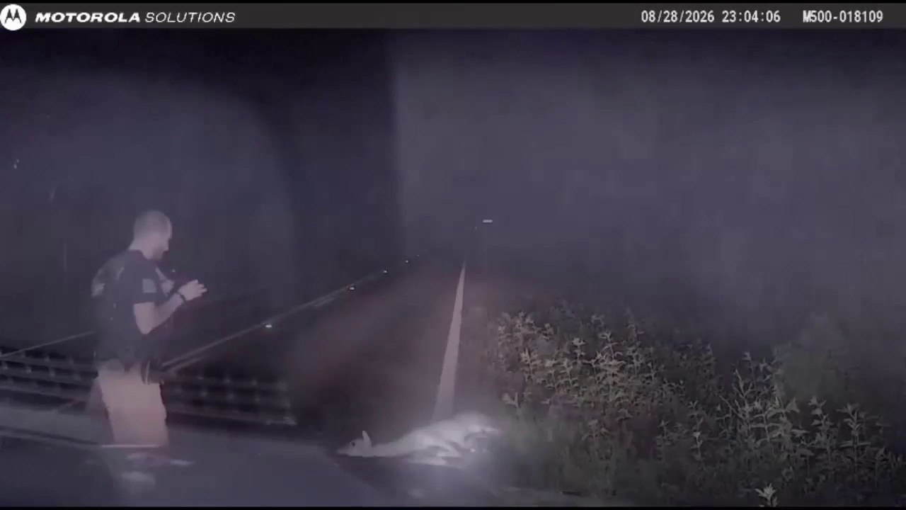 'Dead' deer scares Texas deputy