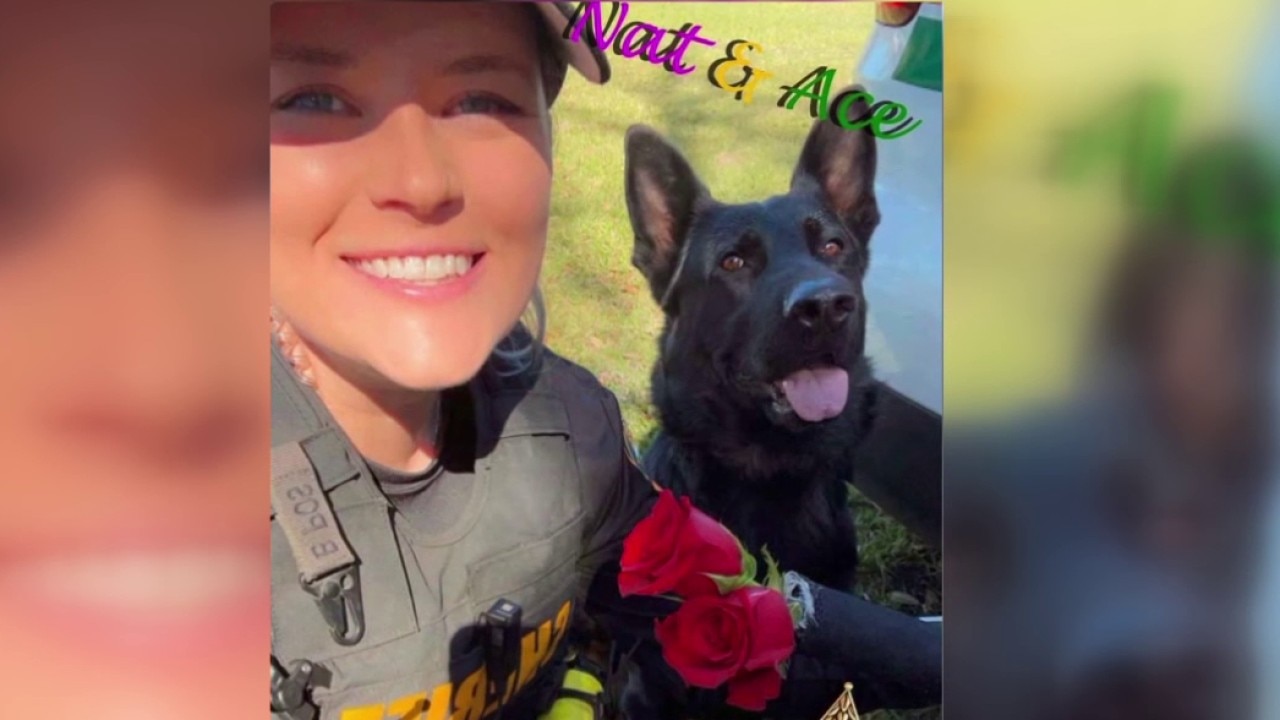 Local non-profit paid for K9 Ace's surgery