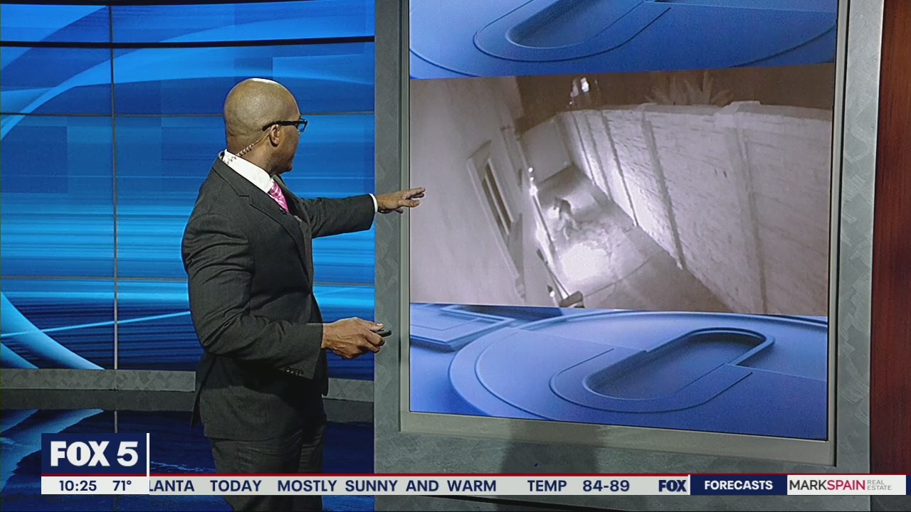 Coyote sneaks into home through dog door