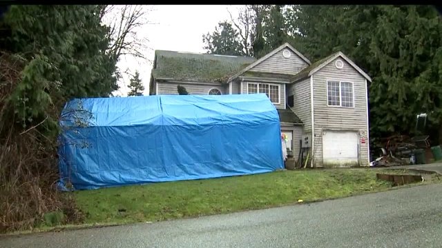 Lake Stevens Neglect